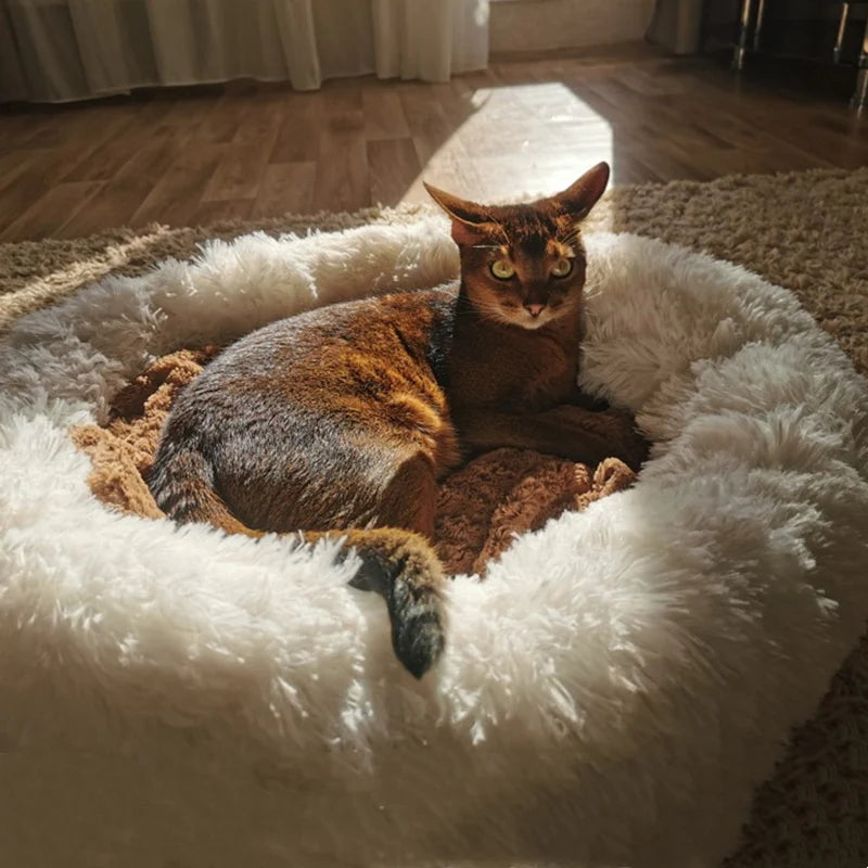 Calming Ultra Soft Plush Cloud Pet Bed