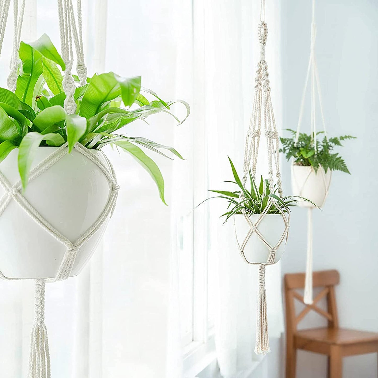 Set of 3  Macramé Plant Hangers