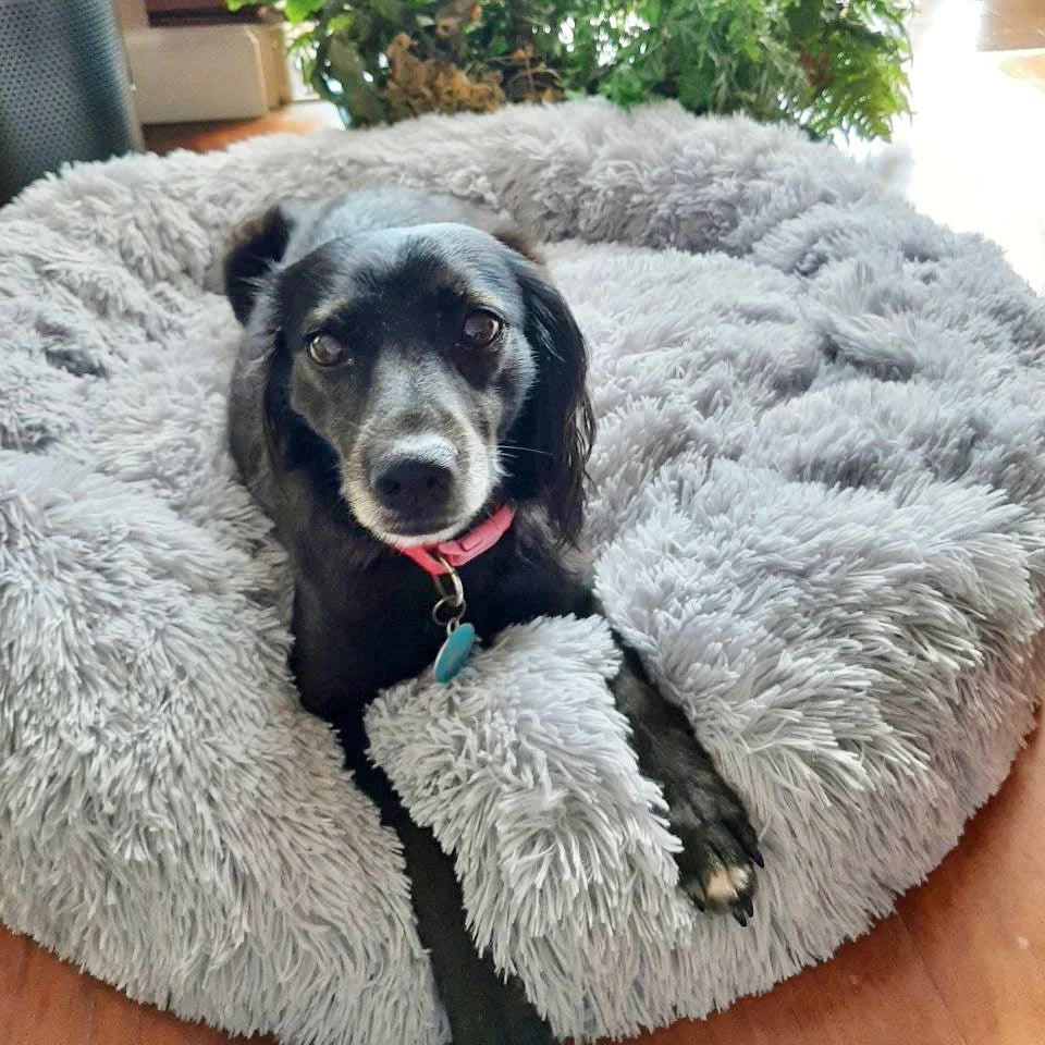 Calming Ultra Soft Plush Cloud Pet Bed