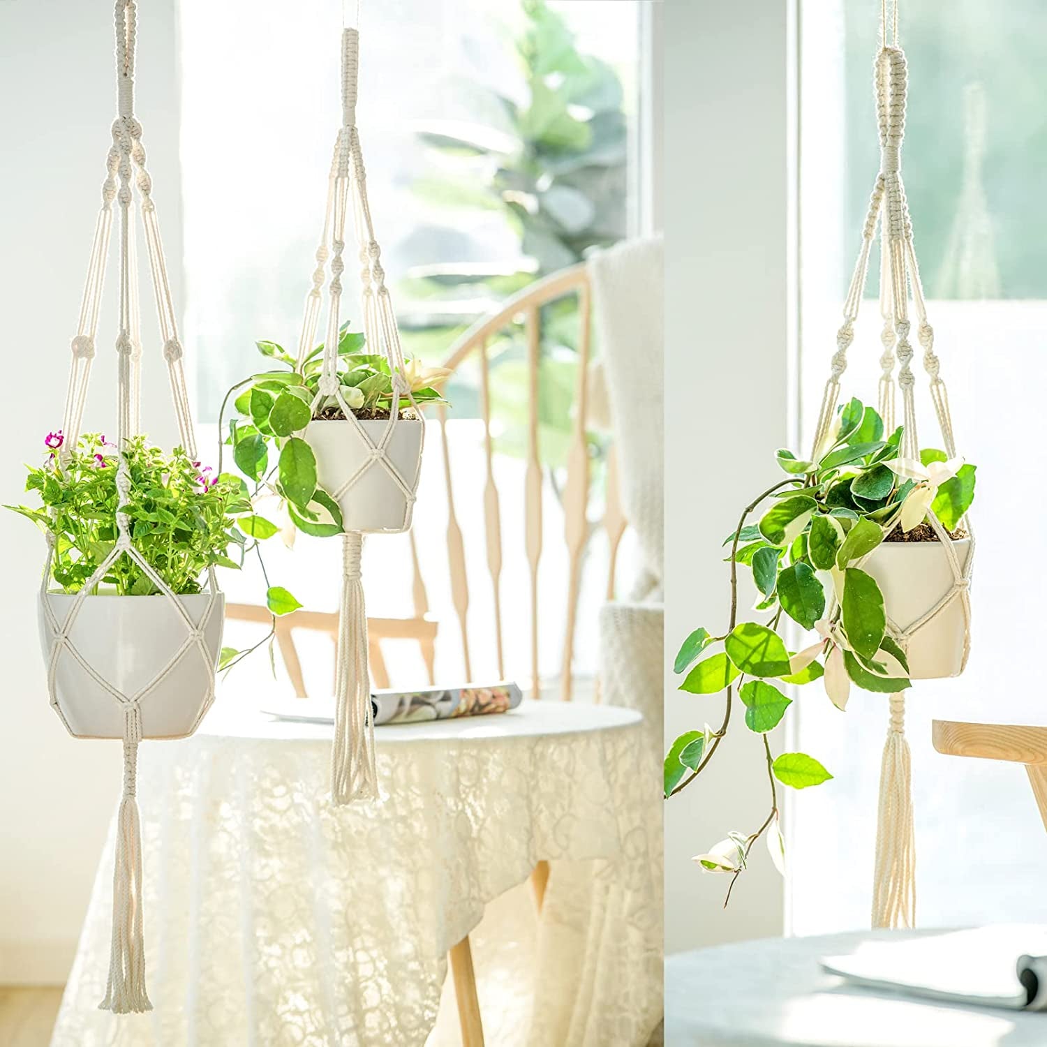 Set of 3  Macramé Plant Hangers